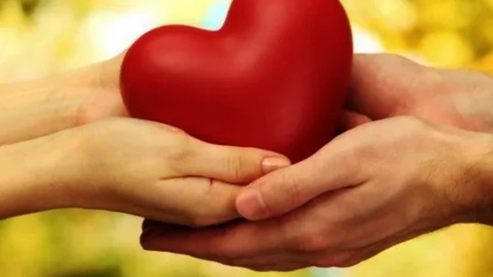 Qual solo é o meu coração?